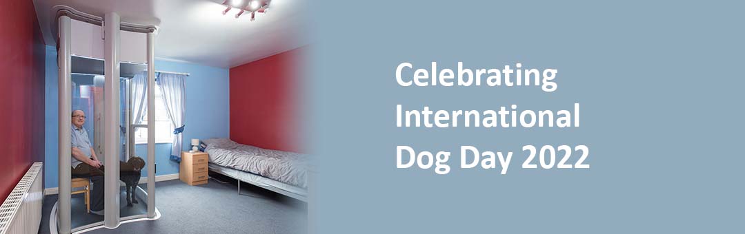 It’s time for celebrating International Dog Day!